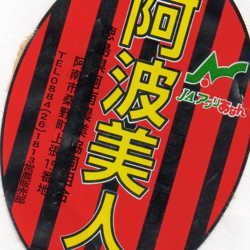 令和6年産 新米 徳島県産「阿波美人こしひかり」5㎏ | お米工房 令和6年産 新米 徳島県産「阿波美人こしひかり」5㎏ | お米工房