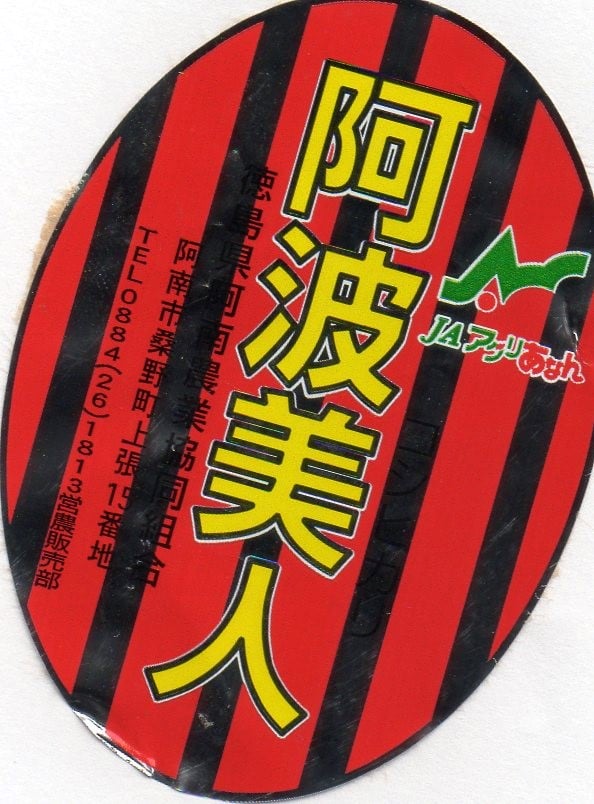 令和6年産 新米 徳島県産「阿波美人こしひかり」5㎏ | お米工房 令和6年産 新米 徳島県産「阿波美人こしひかり」5㎏ | お米工房
