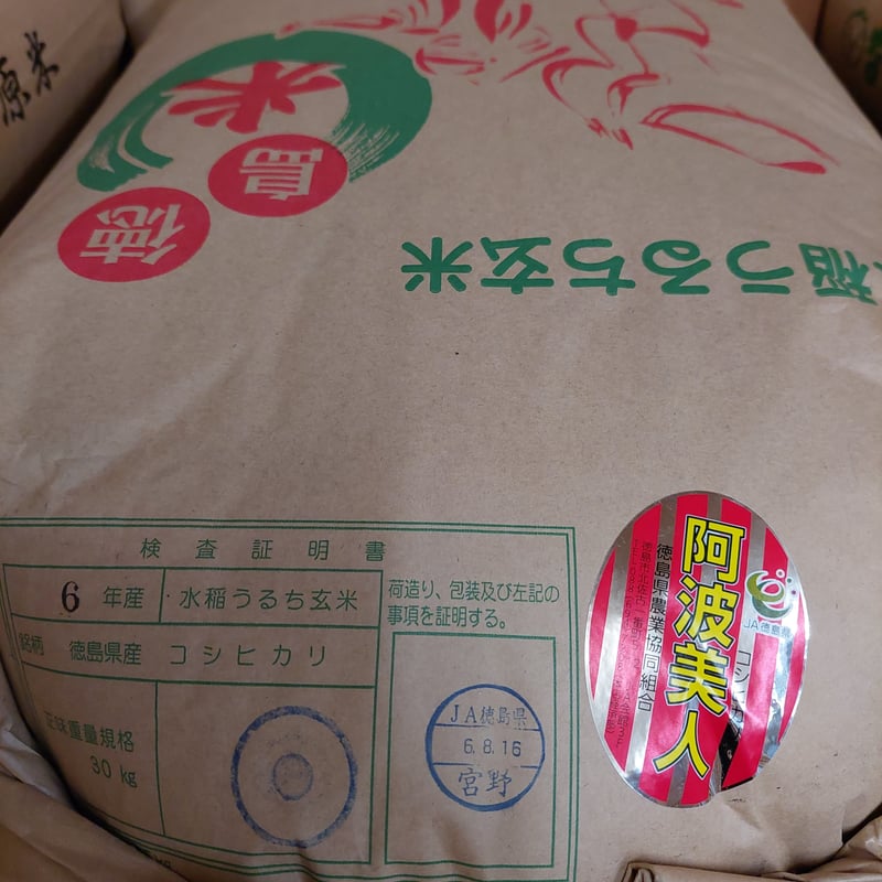 令和7年産 新米 徳島県産「阿波美人こしひかり」5㎏ | お米工房こめっと