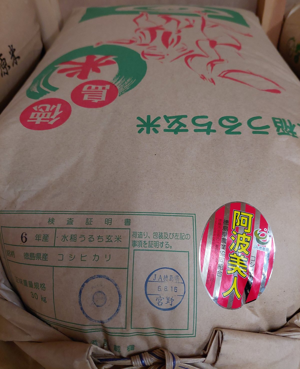 令和6年産 新米 徳島県産「阿波美人こしひかり」5㎏ | お米工房 令和6年産 新米 徳島県産「阿波美人こしひかり」5㎏ | お米工房