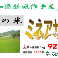 愛知県産作手「ミネアサヒ」10㎏