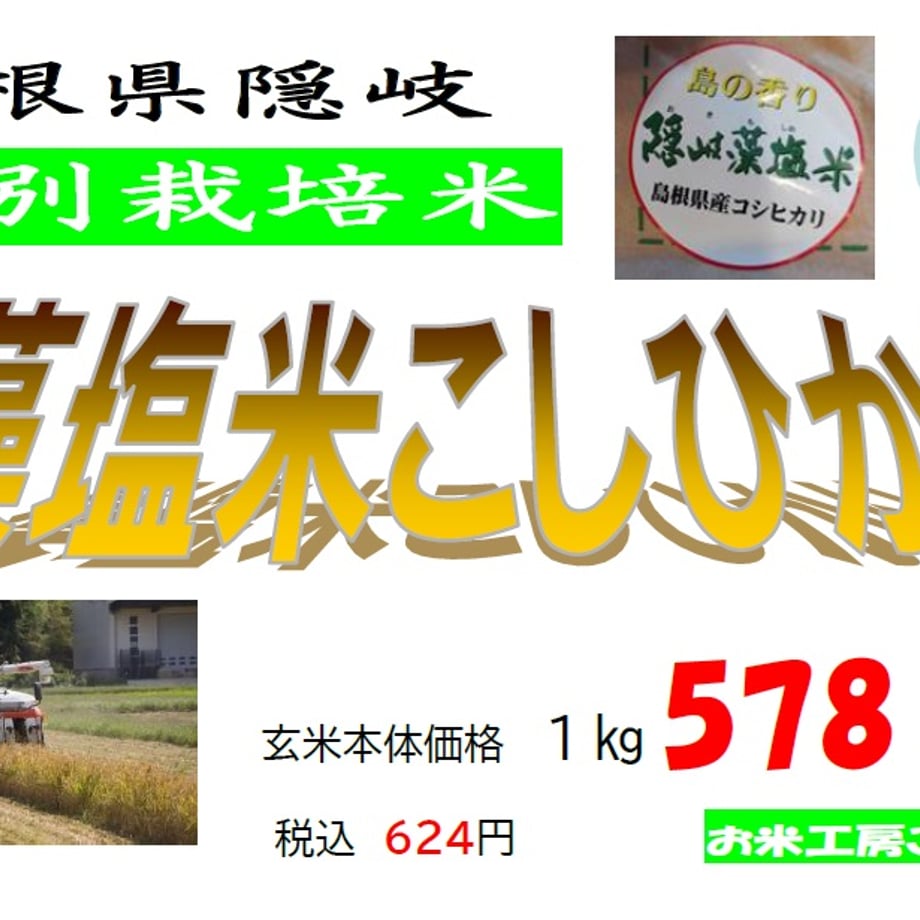 66d2606a00e8ad27f8fd44e6