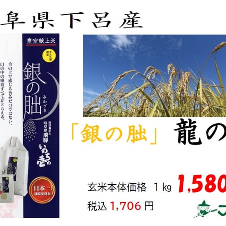 岐阜県下呂市産「銀の朏」いのちの壱 5kg