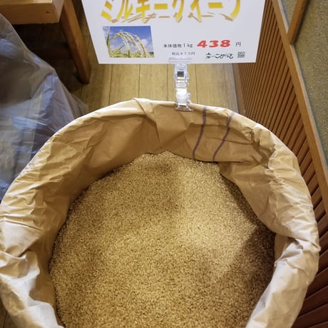 長野県塩崎米特別栽培米「ミルキークイーン」5kg