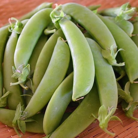 NicoFarm