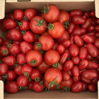 【送料無料】3種食べ比べ！各1kg