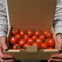【送料無料】ファンゴッホ（中玉トマト）