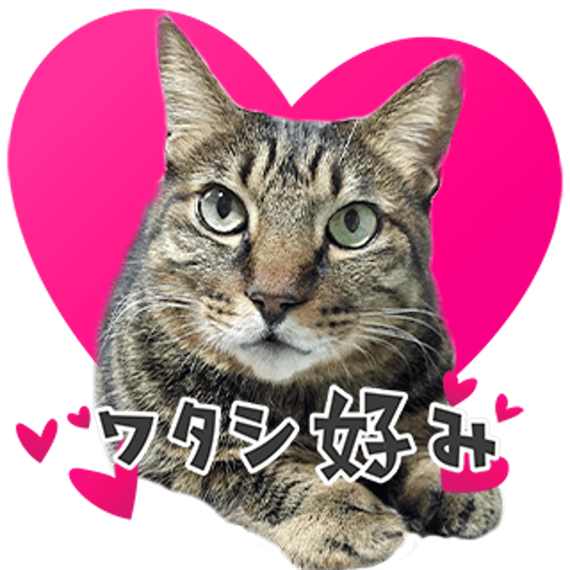 ツンデレセット1 | ねこちゃんホンポ-オリジナルLINEスタンプ