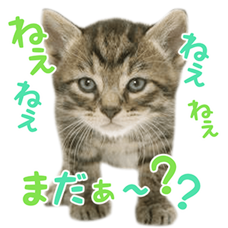 ツンデレセット2 | ねこちゃんホンポ-オリジナルLINEスタンプ