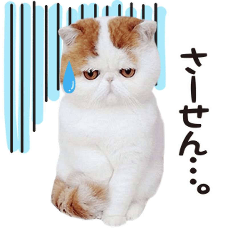 あいさつセット4 | ねこちゃんホンポ-オリジナルLINEスタンプ