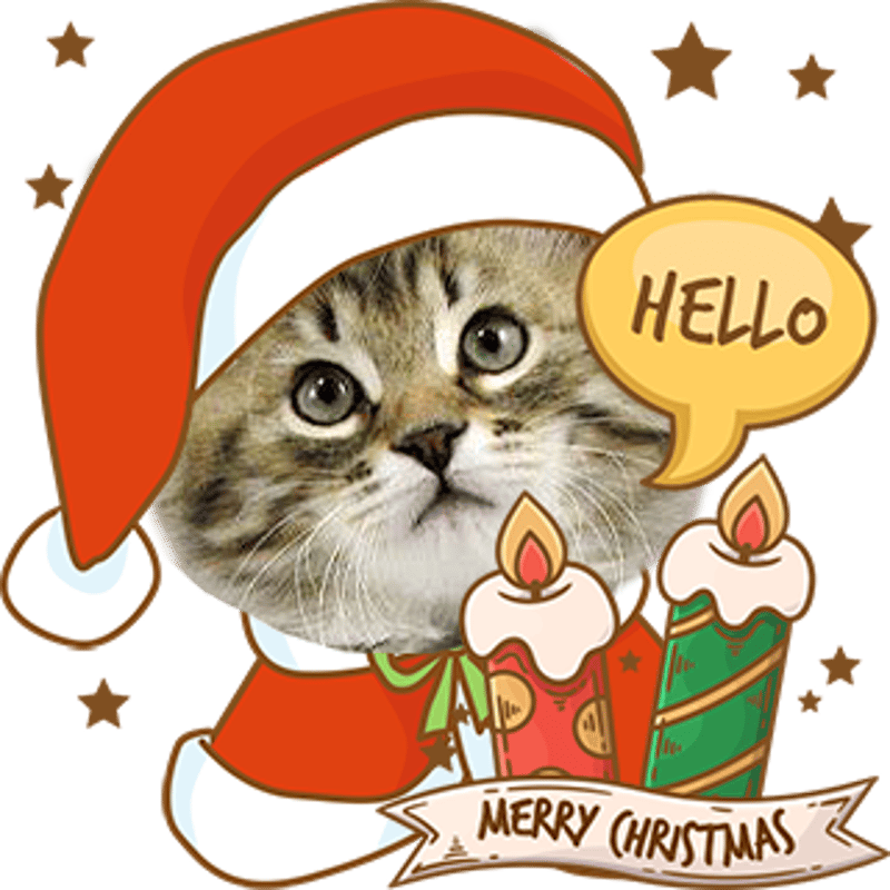 お値下♡未使用スタンピンアップフランス語猫と犬クリスマス