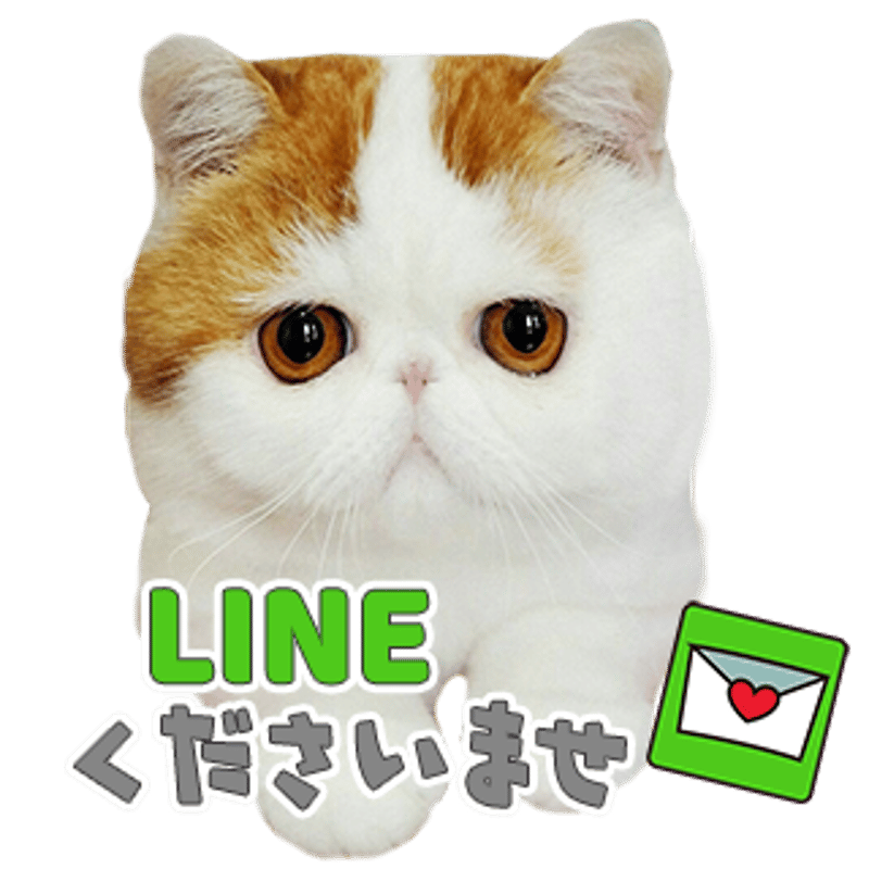 あいさつセット4 | ねこちゃんホンポ-オリジナルLINEスタンプ