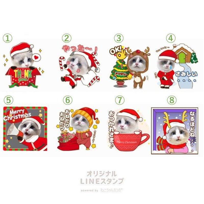 ぽんちゃん☆クリスマス クリスマスセット | ねこちゃんホンポ-オリジナルLINEスタンプ
