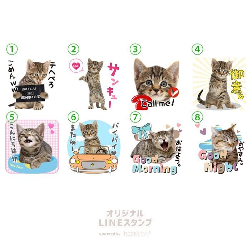 あいさつセット1 | ねこちゃんホンポ-オリジナルLINEスタンプ