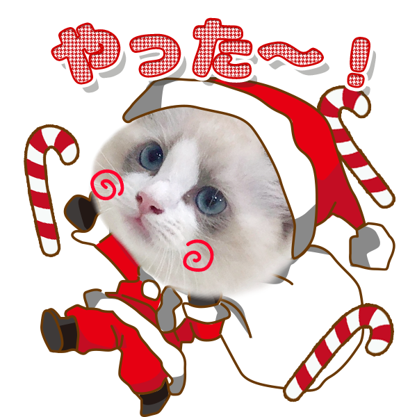 み*ん様 猫ちゃんクリスマスセット クリスマスセット | ねこちゃんホンポ-オリジナルLINEスタンプ