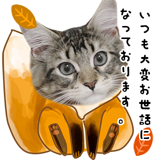 上品なキツネセット | ねこちゃんホンポ-オリジナルLINEスタンプ