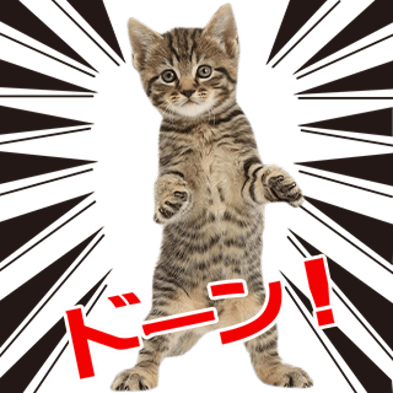 【ねこ☆様】専用　セットアップ(インナーセット) 5点おまとめ 靴下 ギフトセット ネコ 猫ちゃん 猫柄 レディース ゆったり