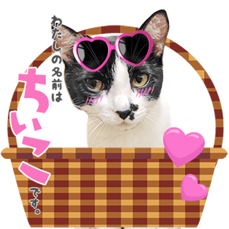 バラエティーセット1 | ねこちゃんホンポ-オリジナルLINEスタンプ