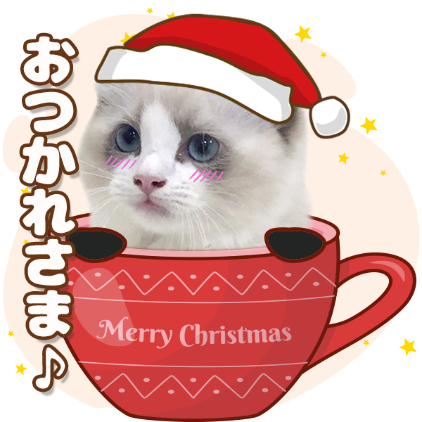 み*ん様 猫ちゃんクリスマスセット クリスマスセット | ねこちゃんホンポ-オリジナルLINEスタンプ