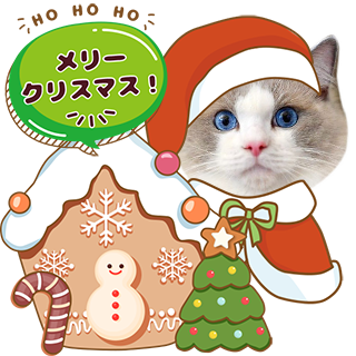 ⭐️N.T⭐️・:*さまお取り置き☆クリスマスセール☆ ねこちゃん5点セット Christmas Kitties – True South Puzzle Company