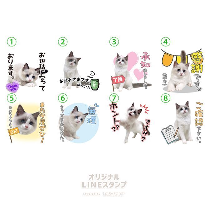 スタンピンアップ フランス語 猫と犬 クリスマス お値下♡未使用