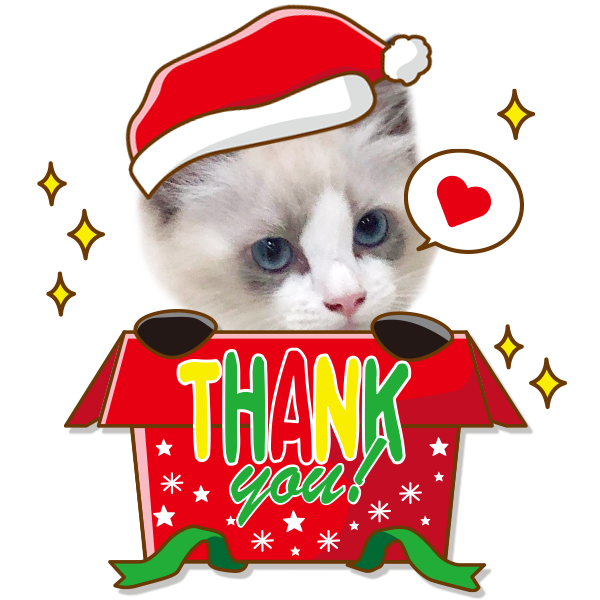 み*ん様 猫ちゃんクリスマスセット クリスマスセット | ねこちゃんホンポ-オリジナルLINEスタンプ