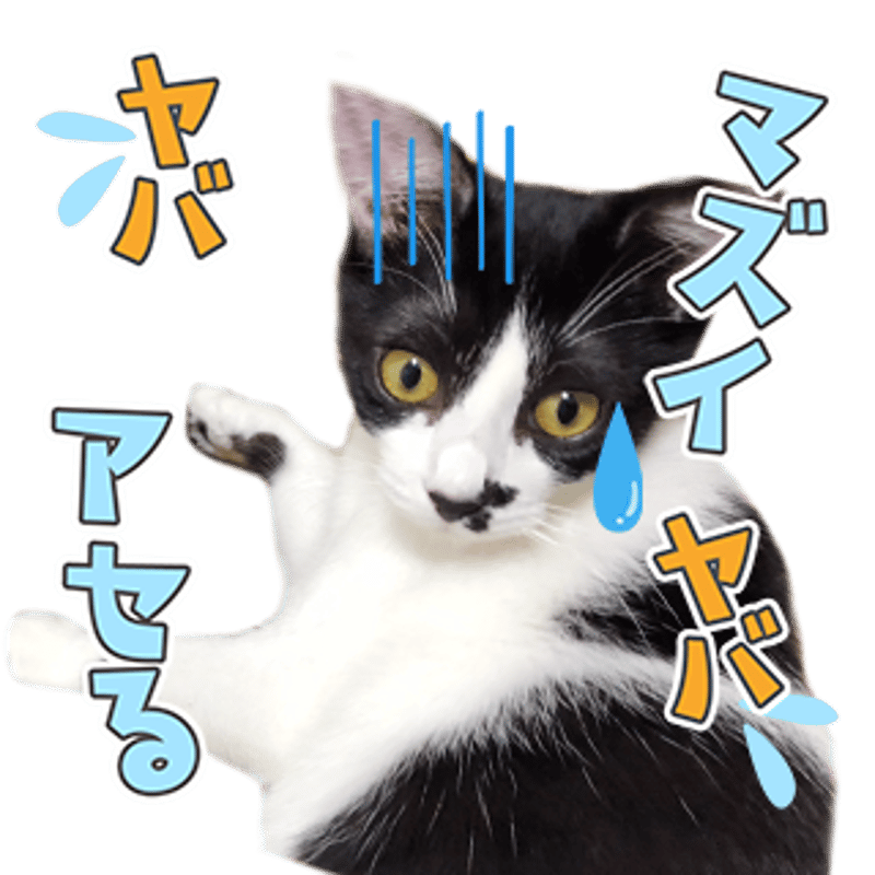 バラエティーセット1 | ねこちゃんホンポ-オリジナルLINEスタンプ