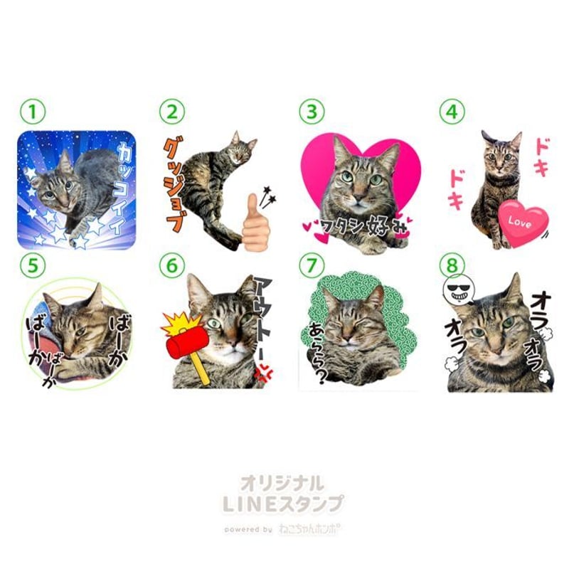 ねこ様　10点セット 猫 フィギュア セット インテリア 車内 置き物 雑貨 小さい ネコ 両面