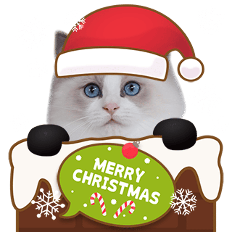 クリスマスセット2023 | ねこちゃんホンポ-オリジナルLINEスタンプ