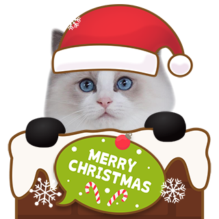 み*ん様 猫ちゃんクリスマスセット クリスマスセット | ねこちゃんホンポ-オリジナルLINEスタンプ