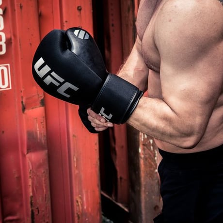 UFC PRO Washable BAG グローブ