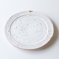 転写皿L_SSL / 片瀬和宏 | gallery yaichi