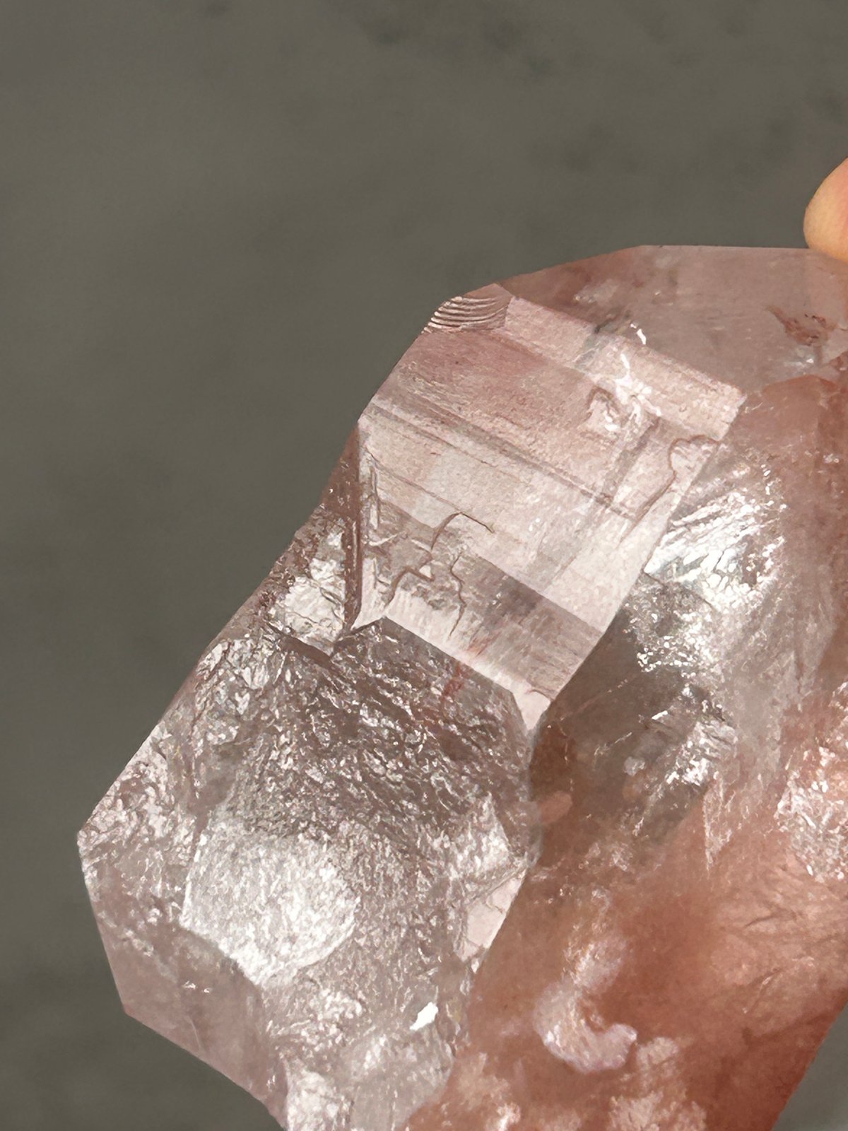 希少】レムリアの叡智◇スカーレットテンプルレムリアン 15 scarlet