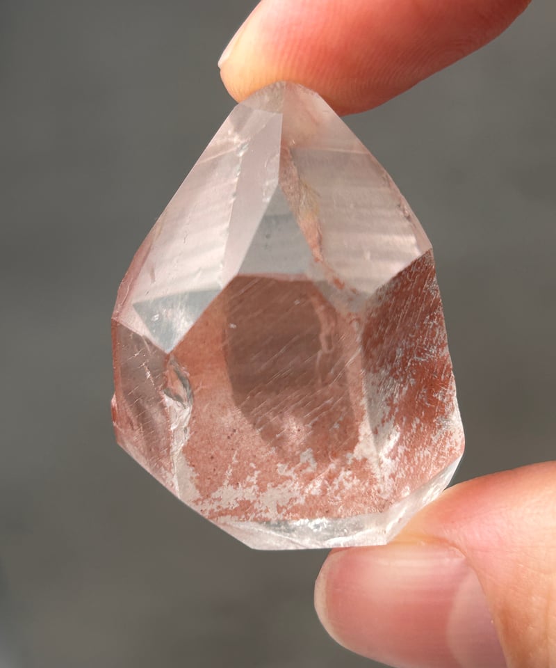 希少】レムリアの叡智◇スカーレットテンプルレムリアン 11 scarlet