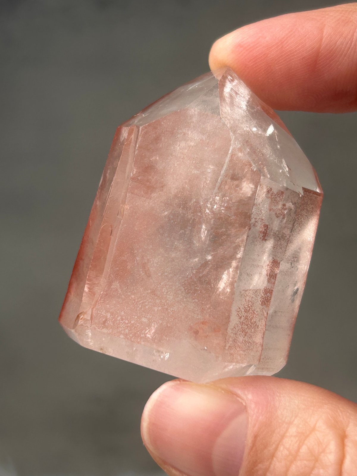 希少】レムリアの叡智◇スカーレットテンプルレムリアン 15 scarlet