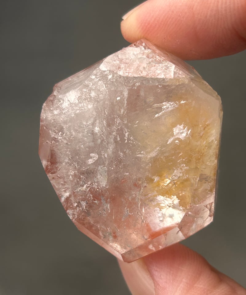 希少】スカーレットテンプルレムリアン