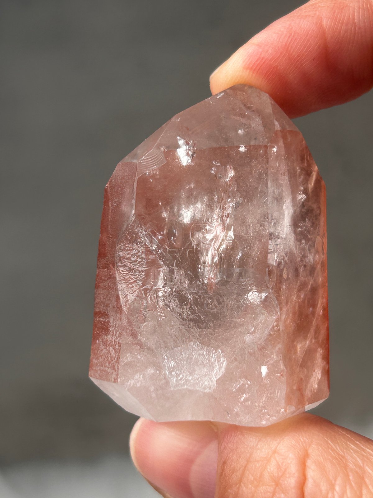 希少】レムリアの叡智◇スカーレットテンプルレムリアン 15 scarlet