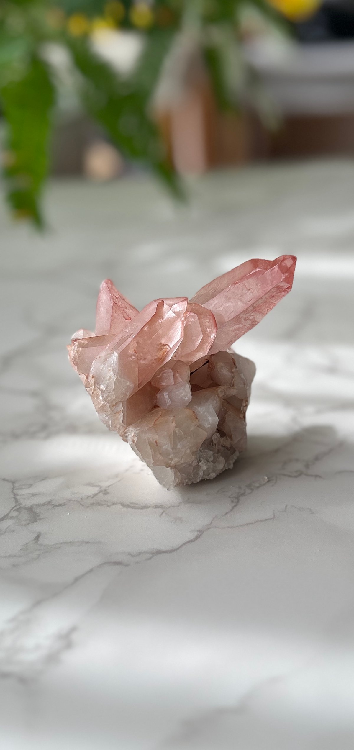 ピンクレムリアンシード クラスター 原石 ピンクレムリアン クラスター 原石｜レムリアンシードクリスタル