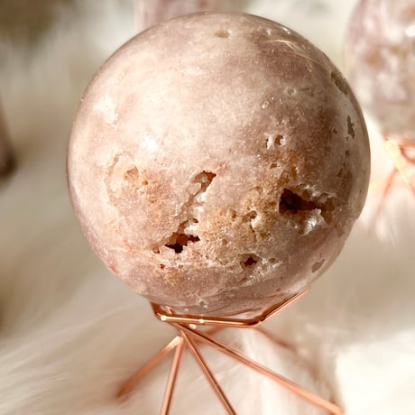 チェリーブロッサム | STORES