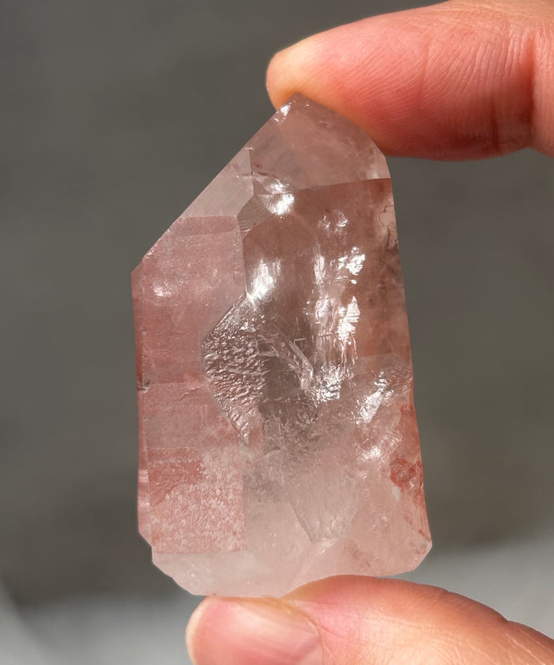 希少】レムリアの叡智◇スカーレットテンプルレムリアン 15 scarlet