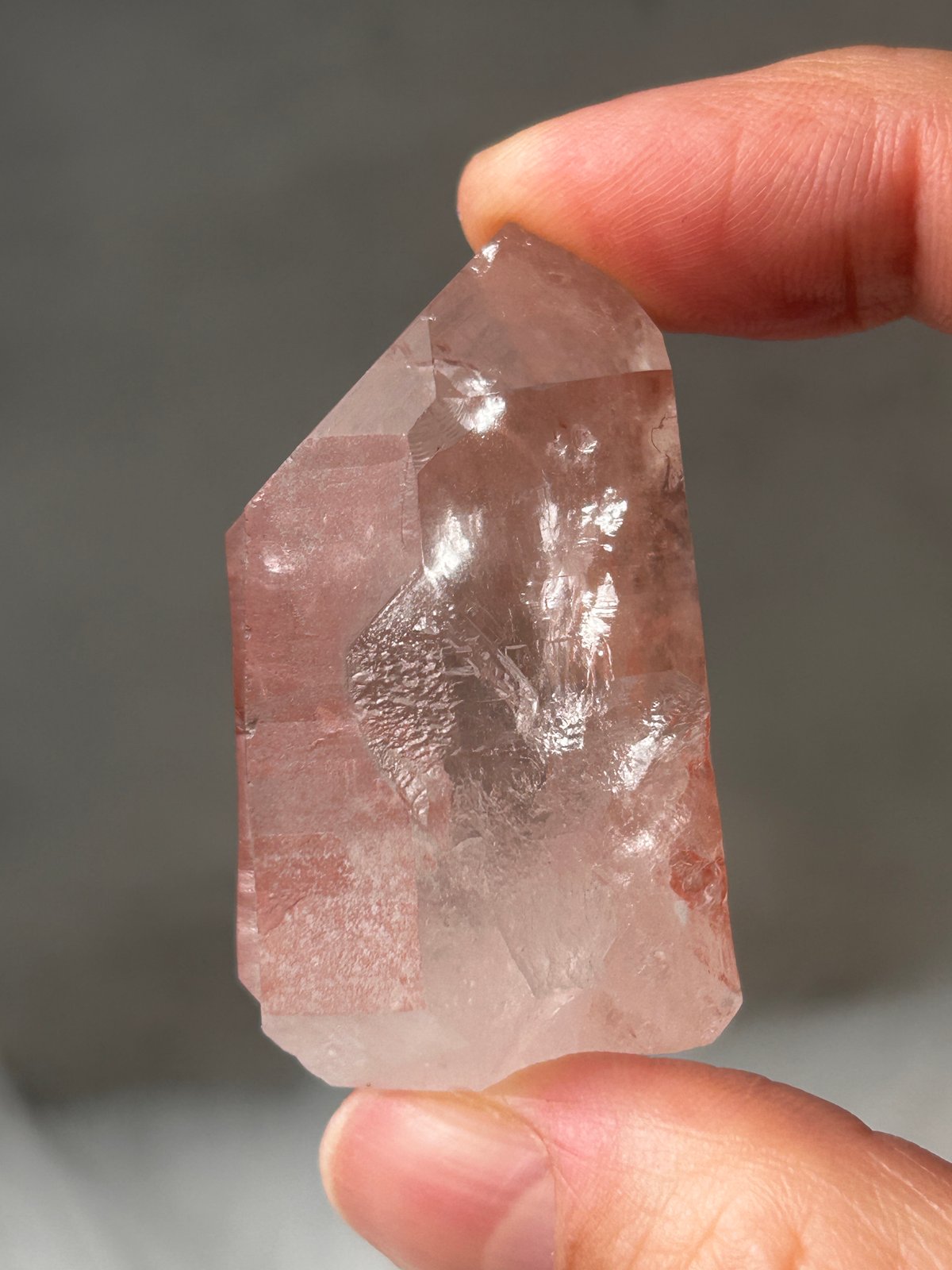 希少】レムリアの叡智◇スカーレットテンプルレムリアン 15 scarlet