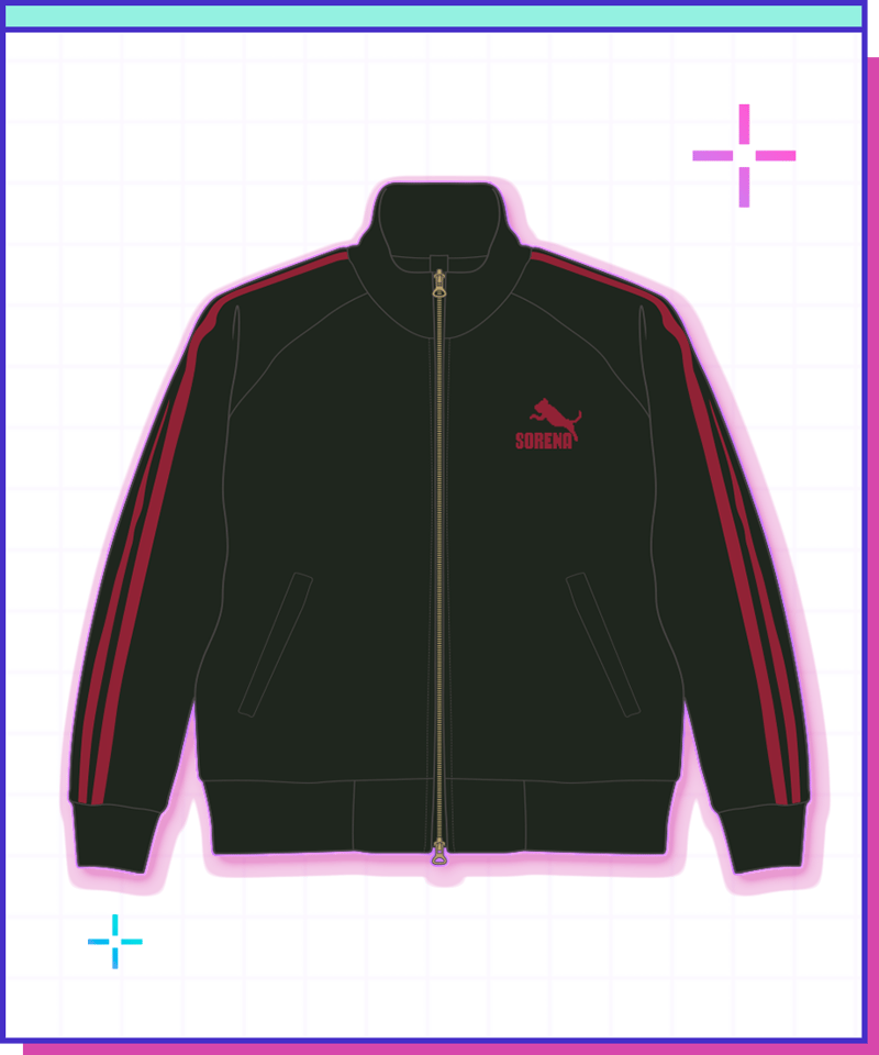 ⚠静子⚠ジャージ ICEPARDAL ジャージ レディース 上下セット セットアップ
