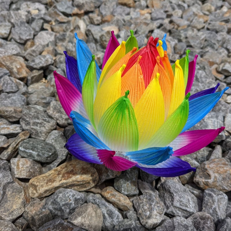 不空の蓮 彩蓮（さいれん） | したくや縁