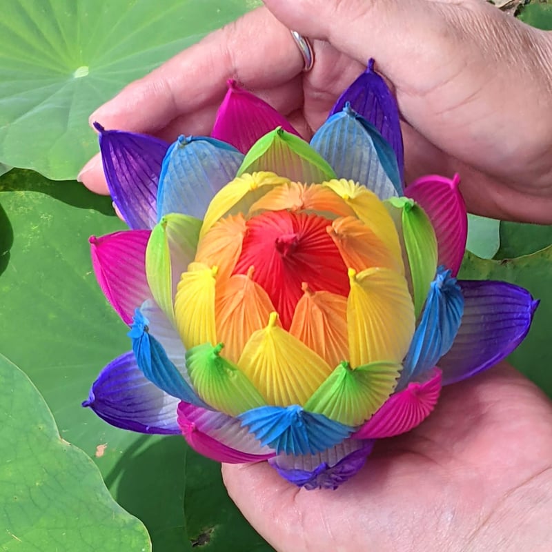 不空の蓮 彩蓮（さいれん） | したくや縁