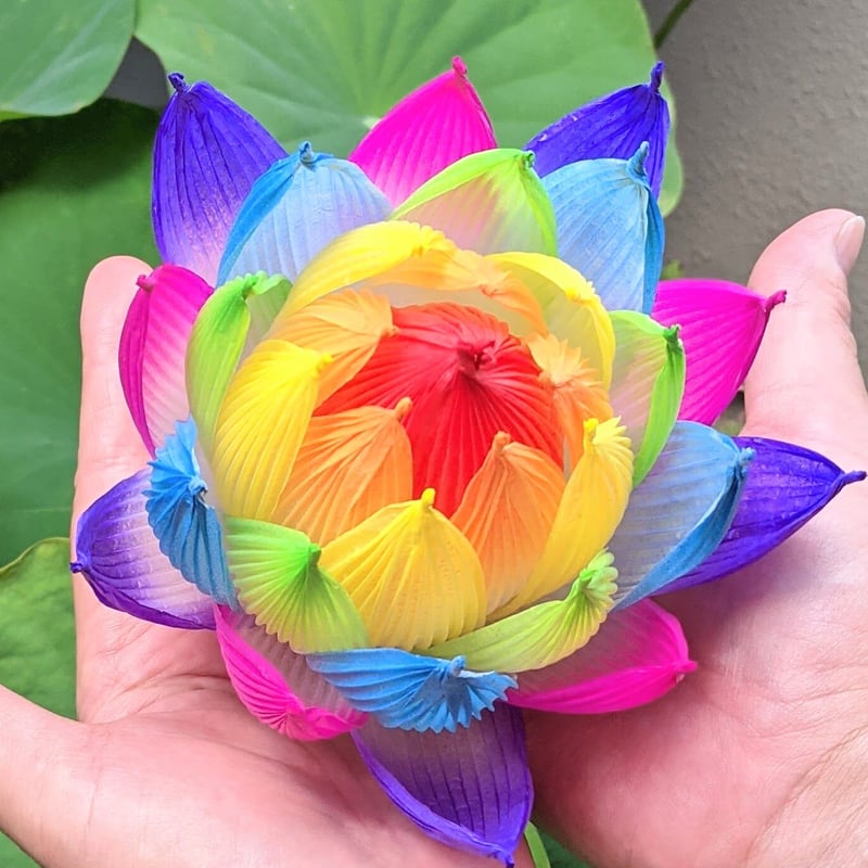 不空の蓮 彩蓮（さいれん） | したくや縁