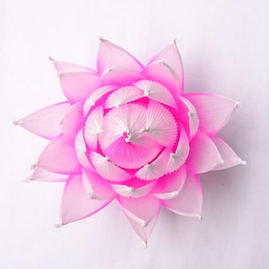 64d0913da4c972003082cad0
