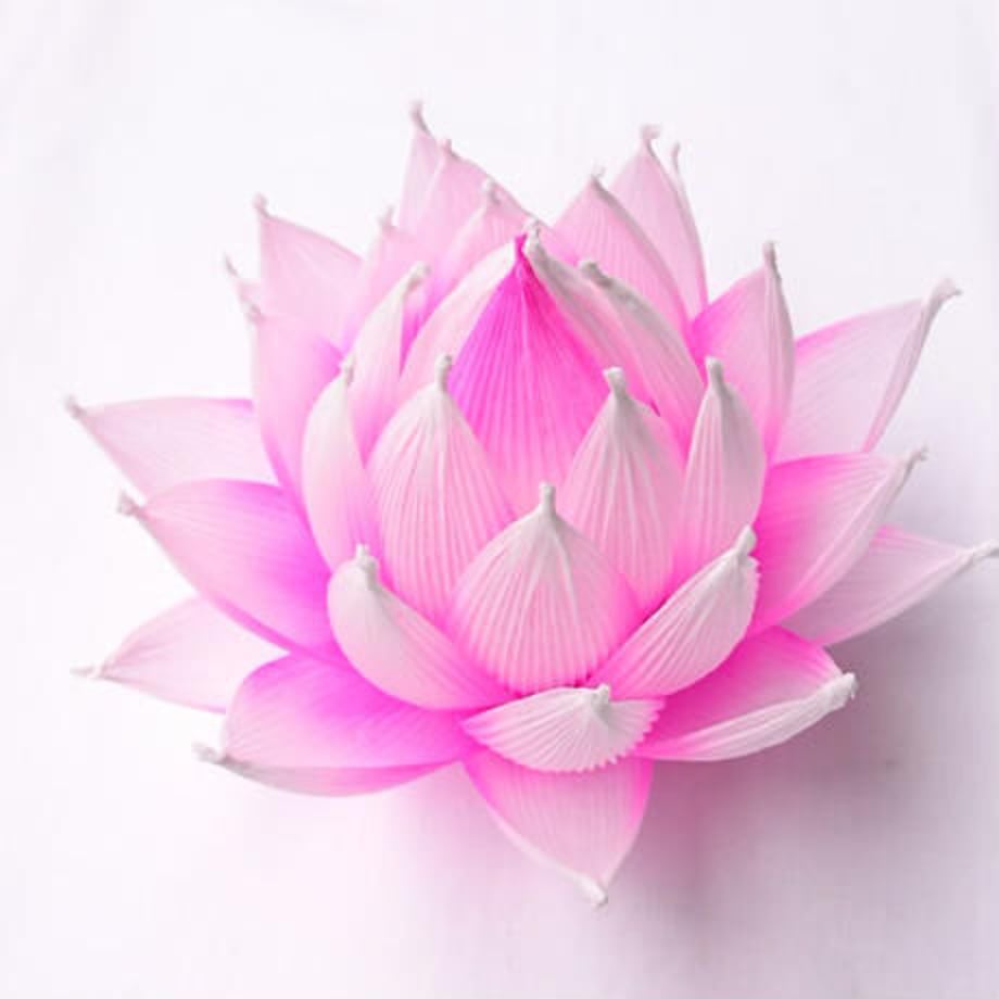 64d0913da4c972003082cad0