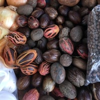 ナツメグ Jamaican Spice | Nutmeg 】 ジャマイカンスパイス ナツメグ | m