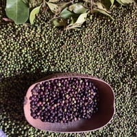 【 Jamaican Spice |  Allspice, Pimenta dioica 】ジャマイカンスパイス ピメント（オールスパイス）