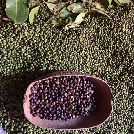 【 Jamaican Spice |  Allspice, Pimenta dioica 】ジャマイカンスパイス ピメント（オールスパイス）